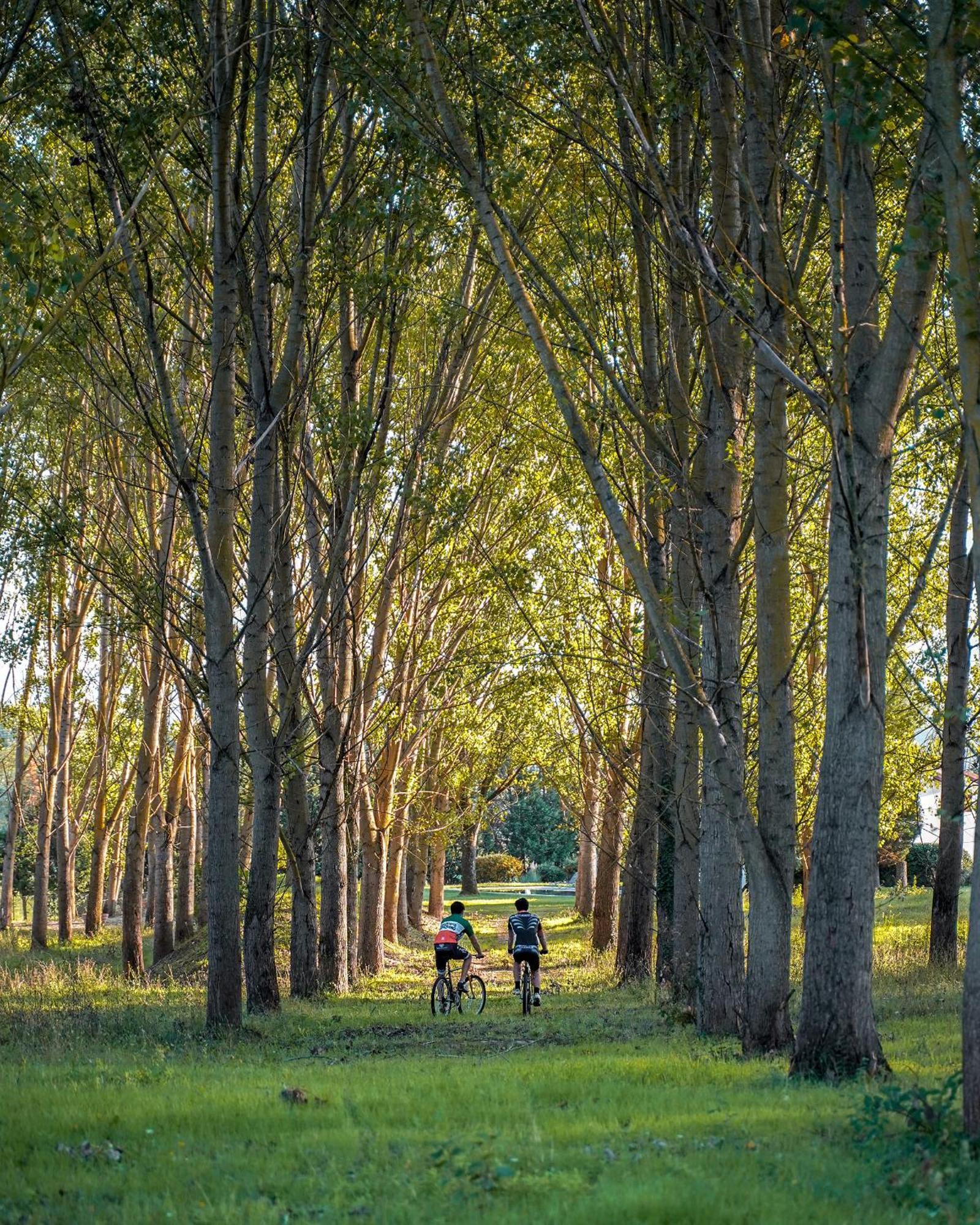 Viesca Suites & Villas Il Borro Toscana Reggello Bagian luar foto